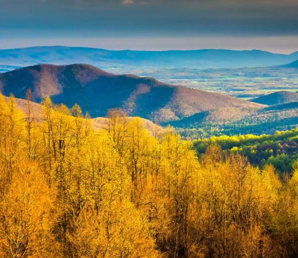 Urlauber können auf Ihrer Princess Cruises Kreuzfahrt den Indian Summer, grüne Wiesen und Berge entdecken. Reise buchen!